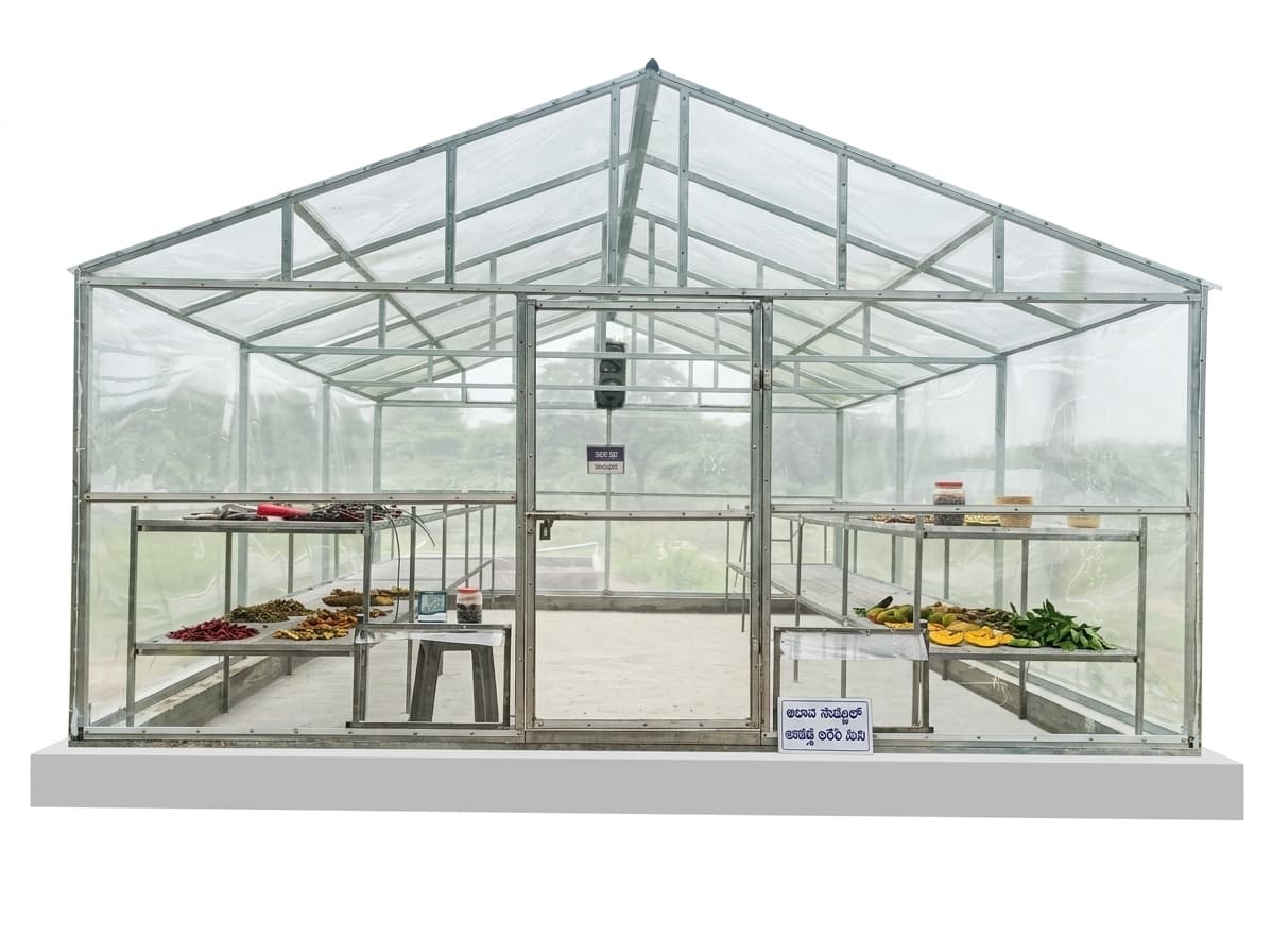 Solar Dehydration Processing Unit and Hygiene Standards at Nela Kranthi Naturals, Sydapuram